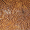 Ламинат Boho Village 1222 Oak natural