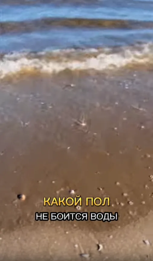 Превью
